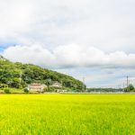 田舎の土地を賢く活かす10の土地活用方法と始める4ステップ